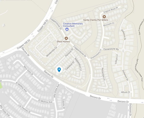 zz-Sat-8-19-Valencia-CALADIUM PL-02