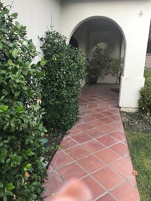 Kitchen-IPP-23514 Gentian-Devora-5 Kitchen-IPP-23514 Gentian-Devora-5