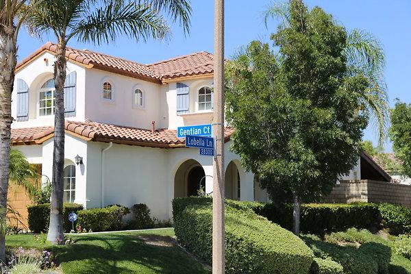 zzShot-Dale6D-Aug2017 valencia-092 zzShot-Dale6D-Aug2017 valencia-092