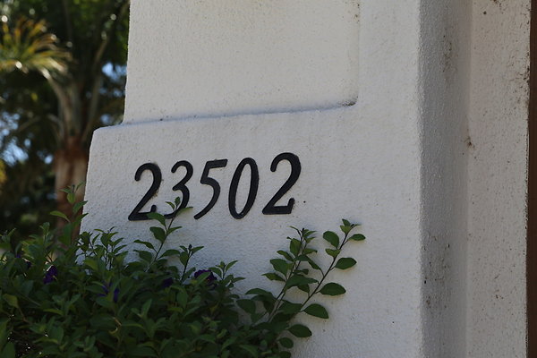 z-Shot-Dale6D-Aug2017 valencia-008