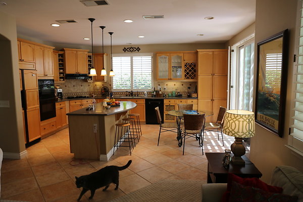 Shot-Dale6D-Aug2017 valencia-077