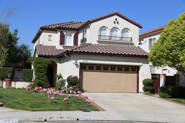 w-Shot-Dale6D-Aug2017 valencia-219