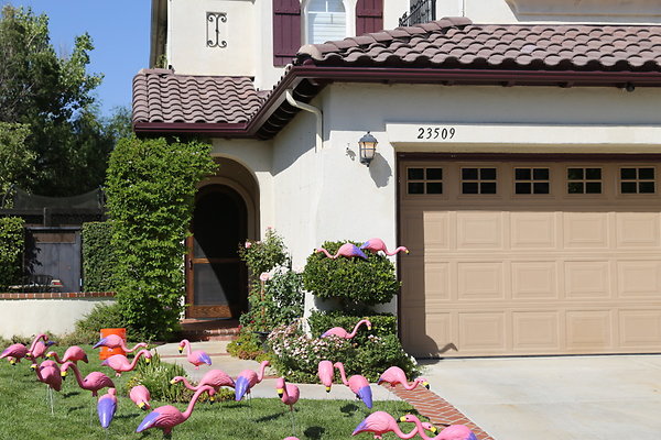 w-Shot-Dale6D-Aug2017 valencia-220