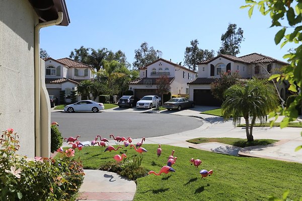 w-Shot-Dale6D-Aug2017 valencia-222