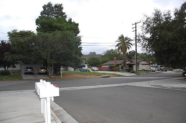 DSC 0092
