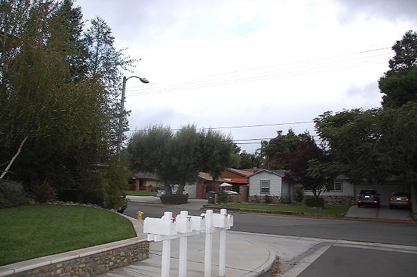 DSC 0091