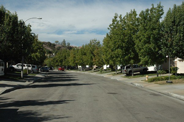 DSC 0040