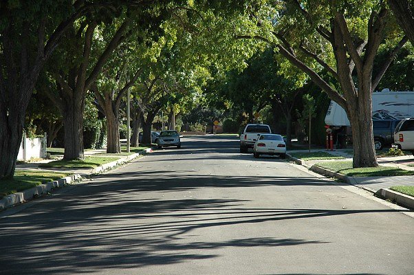 DSC 0199