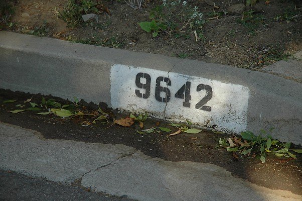 DSC 0200