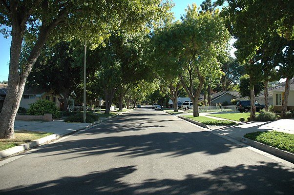 DSC 0198