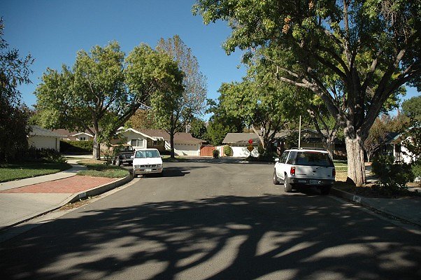 DSC 0190