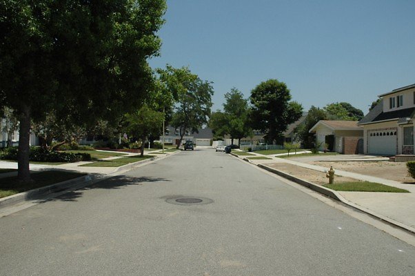 DSC 0141