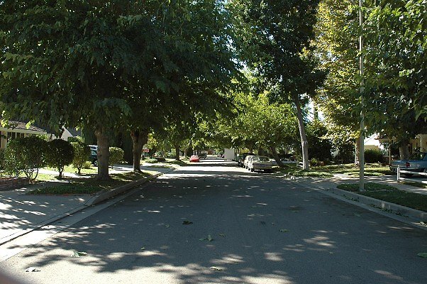 DSC 0005