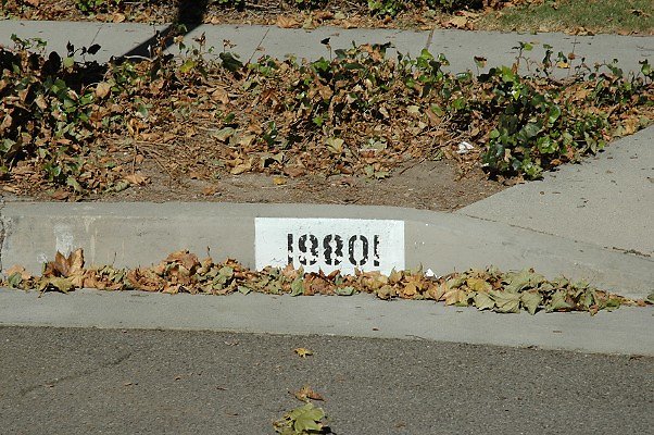 DSC 0019