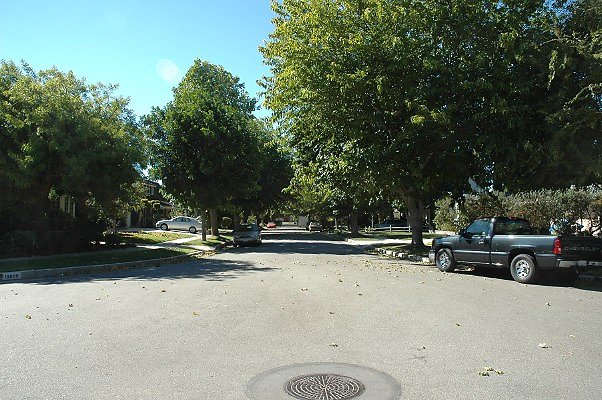 DSC 0023
