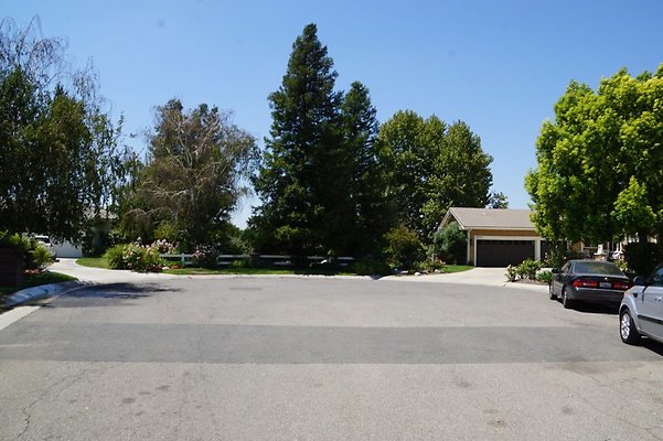 Palomino Way.Ext