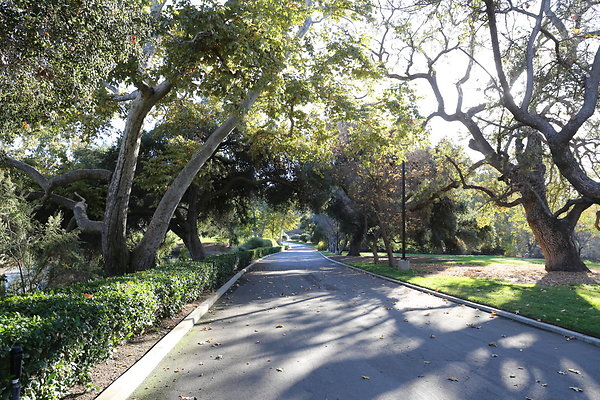 King Gillette MRCA-Geo6D-Nov2017-026 King Gillette MRCA-Geo6D-Nov2017-026