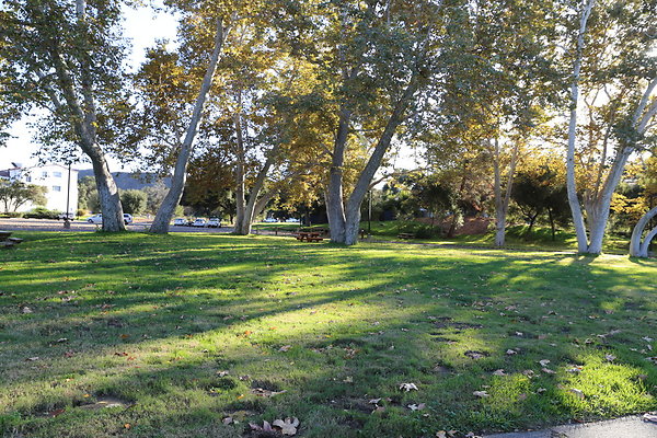 King Gillette MRCA-Geo6D-Nov2017-044 King Gillette MRCA-Geo6D-Nov2017-044