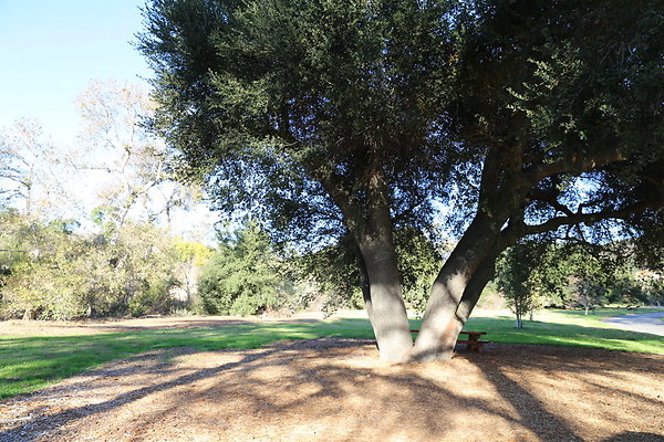 King Gillette MRCA-Geo6D-Nov2017-031 King Gillette MRCA-Geo6D-Nov2017-031