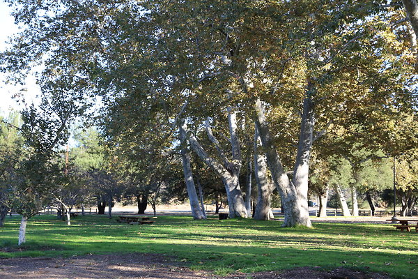 King Gillette MRCA-Geo6D-Nov2017-039 King Gillette MRCA-Geo6D-Nov2017-039