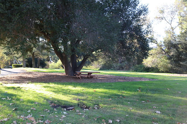 King Gillette MRCA-Geo6D-Nov2017-038 King Gillette MRCA-Geo6D-Nov2017-038