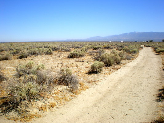 Lara Desert Ranch.East Palmdale