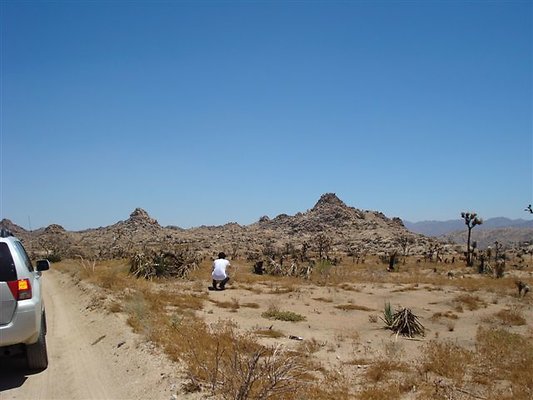 DSC05075