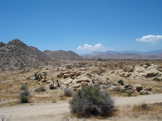 DSC05090