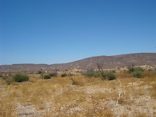 DSC05103