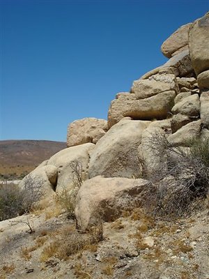 DSC05089