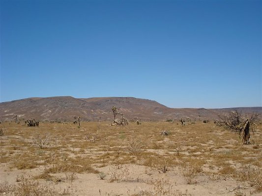 Skyline ranch.Loc.Unltd.