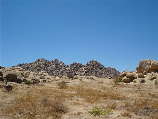 DSC05083