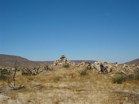 DSC05101