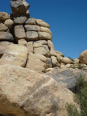 DSC05091