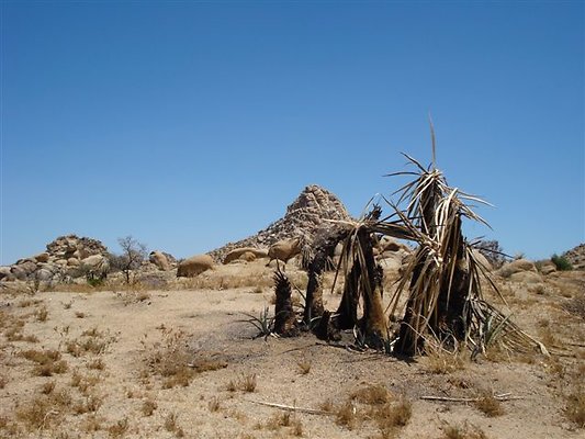 DSC05112