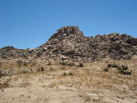 DSC05120