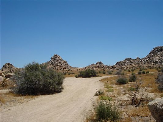 DSC05084