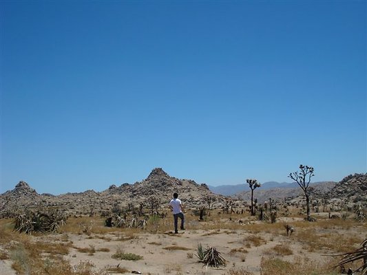 DSC05076