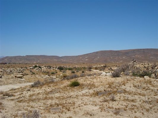 DSC05123