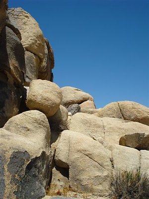 DSC05096