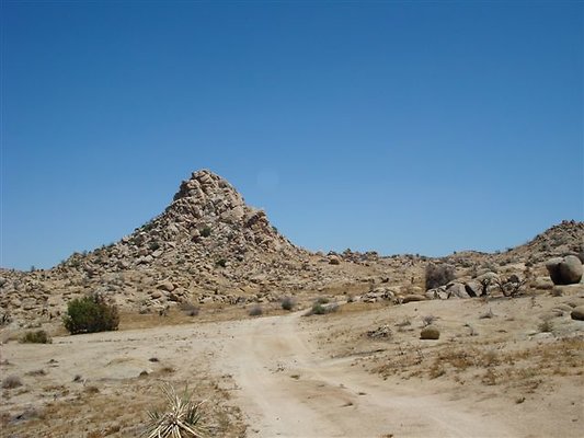 DSC05118