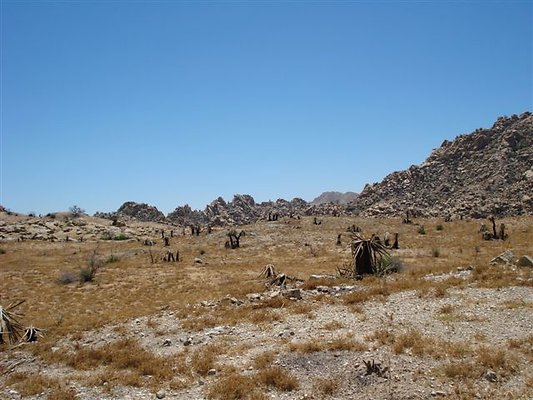 DSC05105