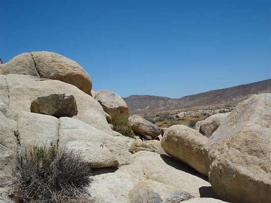 DSC05095