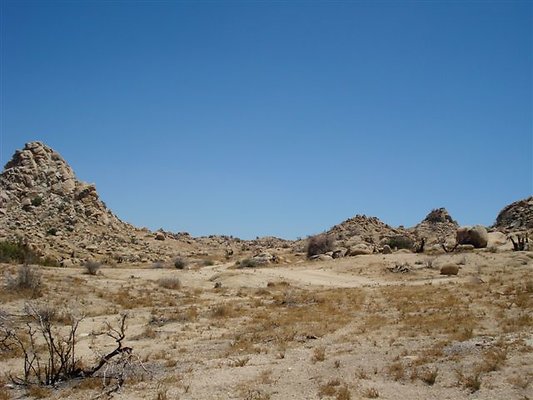 DSC05121