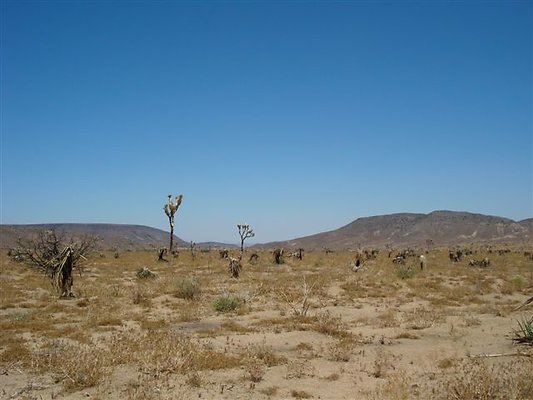 DSC05079