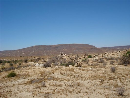 DSC05124