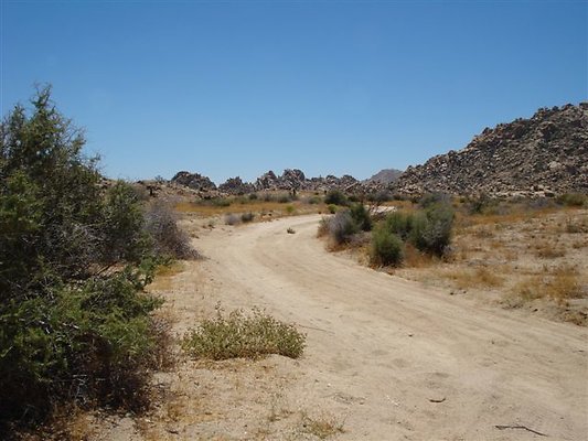 DSC05099