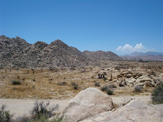 DSC05092