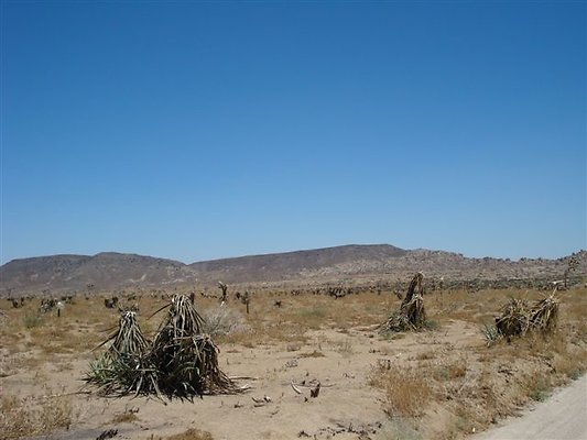 DSC05077