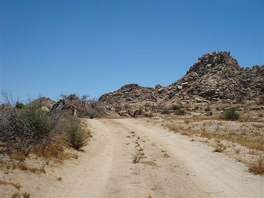 DSC05113